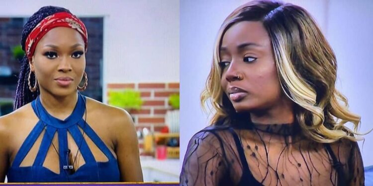 BBNaija :Tolanibaj  blocked me on Instagram – Vee