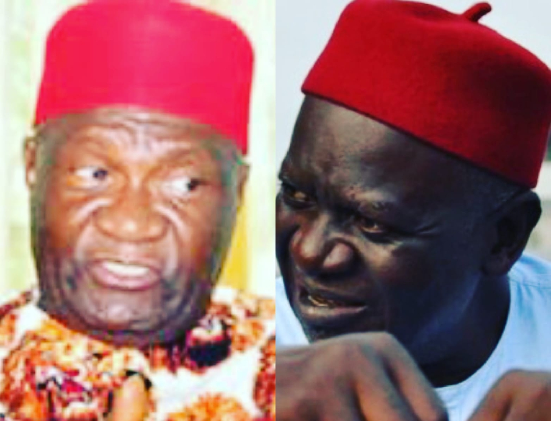 Ohaneze leadership: Osuagwu joins race to take over Nwodo’s job