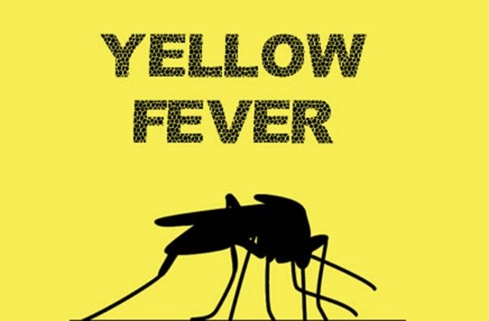 Yellow Fever cause of alleged unusual deaths in  Enugu Ezike – Enugu govt