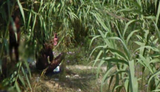 Trending: Hunter finds friend's wife making love in the bush with boyfriend