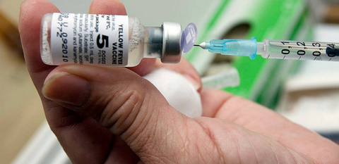 BREAKING: Yellow fever outbreak spreads to three Enugu LGAs