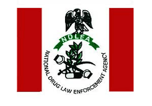 NDLEA confiscates over N17m worth of illicit drugs