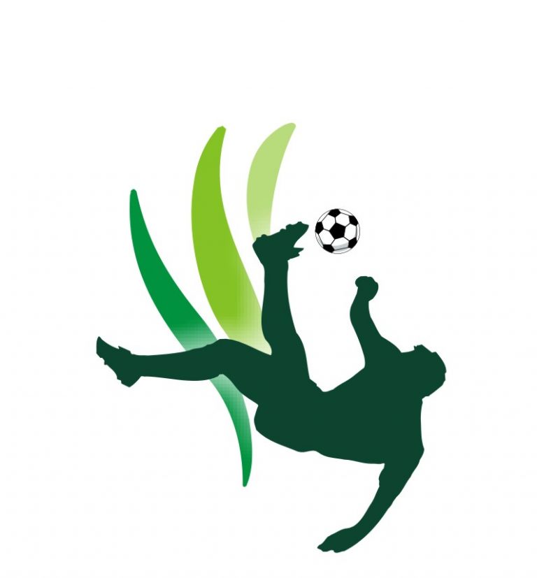 7th Nigeria Pitch Awards: IG of Police, Ndidi, Oshoala emerge winners