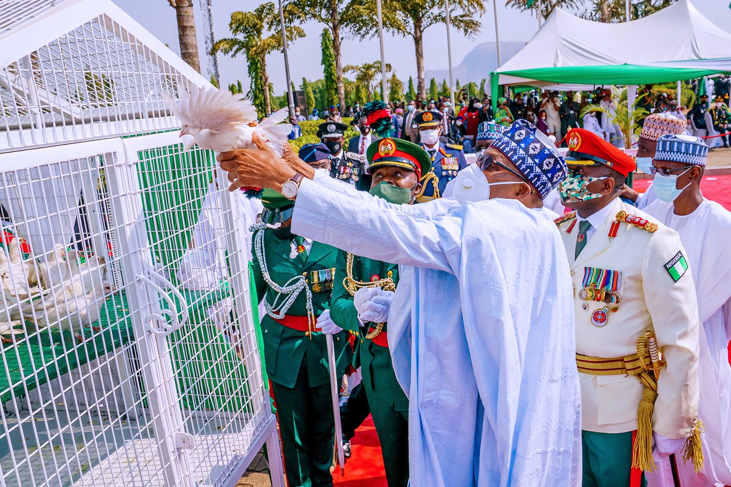 Pigeons refusal to fly when released is bad omen for your administration, ‘Elders’ tell Buhari