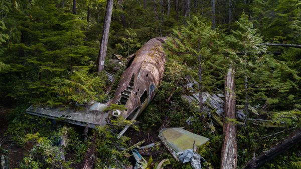 Military helicopter crashes, all passengers on board dead