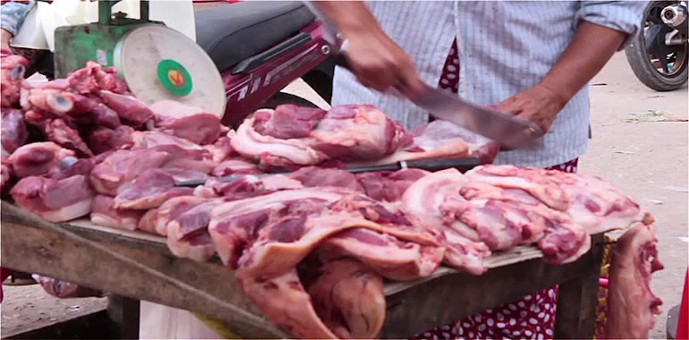 How eating less meat can help reduce risk of pandemic