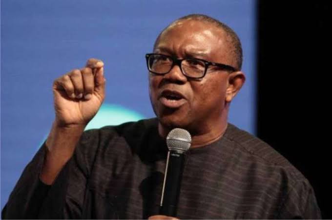 June 12: Nigeria not justifiably a democratic country – Peter Obi