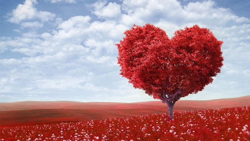Valentine: We prefer credit alerts to flowers, cards, chocolates, say Jos women