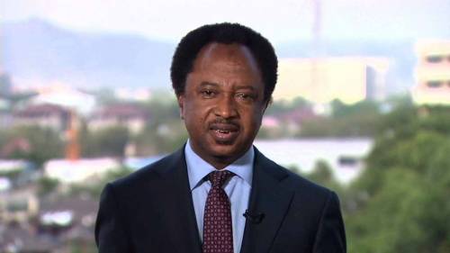 Why I lost my Senate re-election bid in 2019 – Shehu Sani