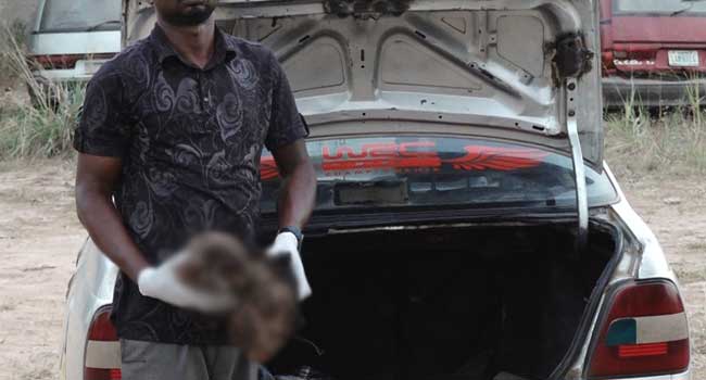 NDLEA arrests driver with two human heads in Ondo