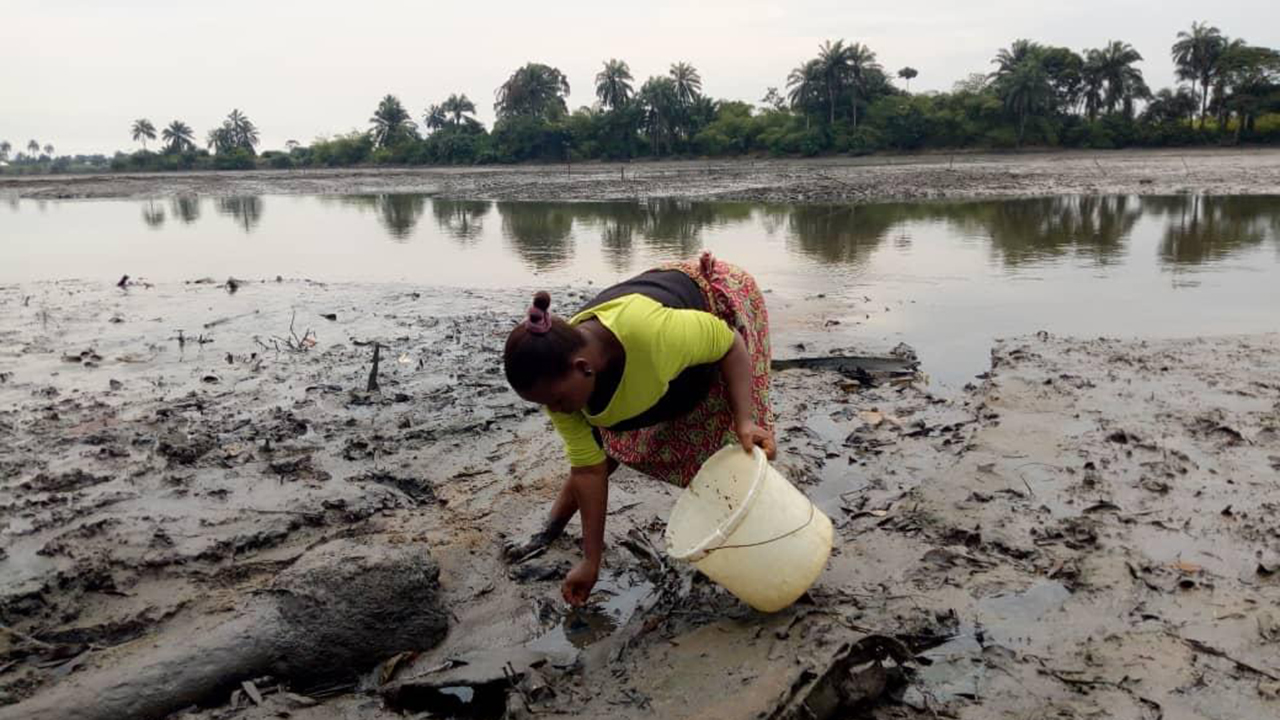 Ogoni stakeholders state conditions for resumption of oil exploration