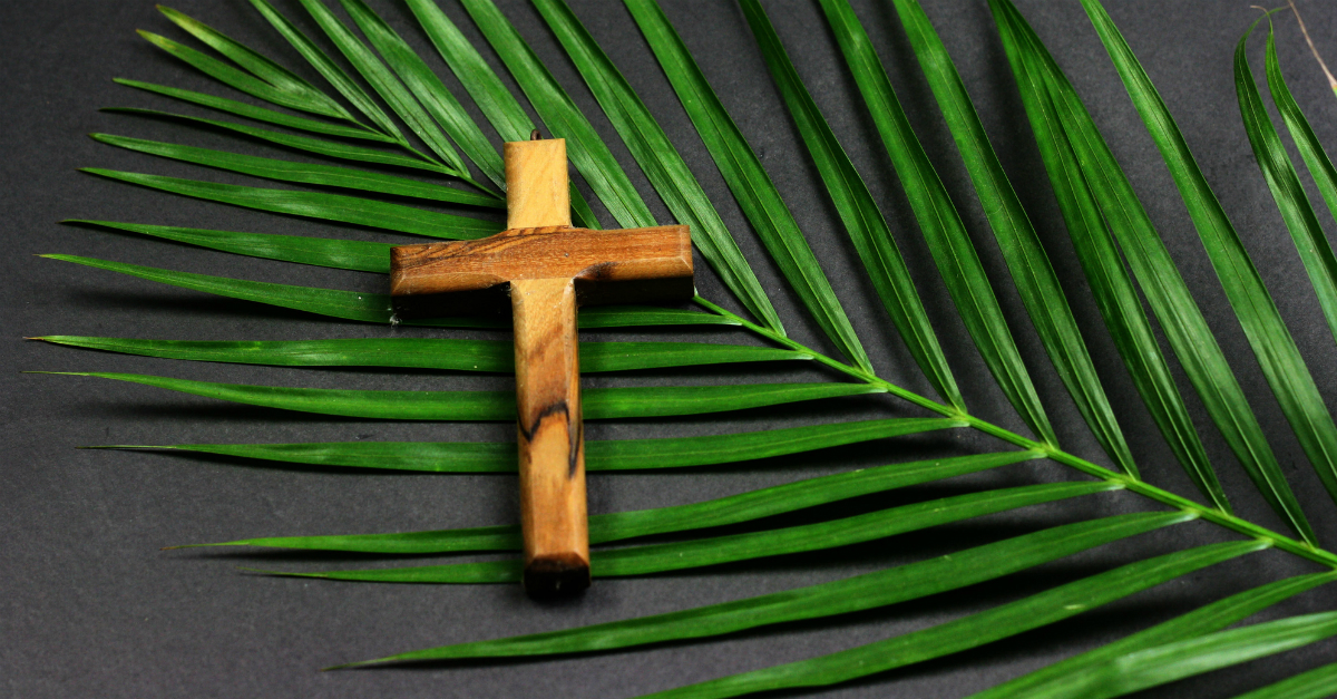 Palm Sunday: Christians mark first day of holy week