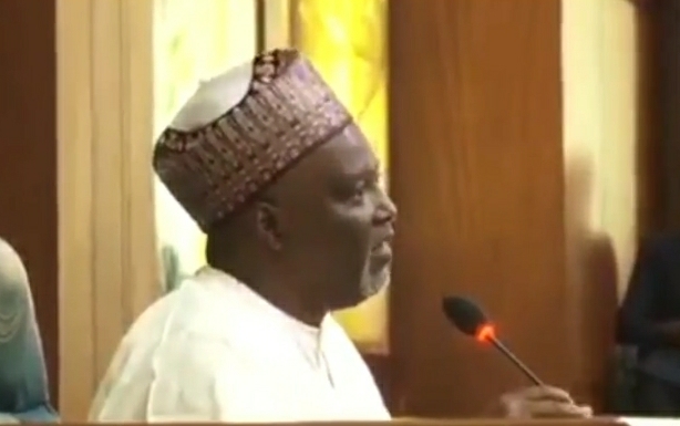 Trending video: Watch moment Deputy Speaker Wase turned pry school headmaster scolding colleague