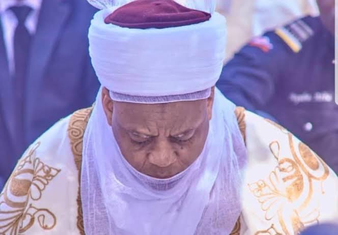 Children orphaned by insurgency are mine – Sultan