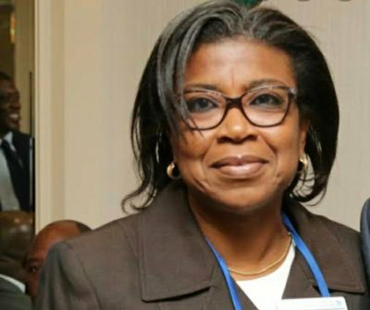 Why there is increased borrowing since 2015 – FG