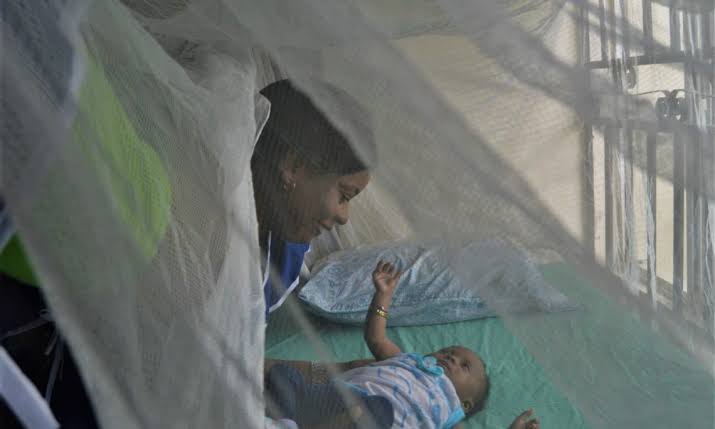 Africa making progress in defeating malaria – AU