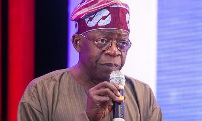 Tinubu not for cash and carry, container economy – Alake