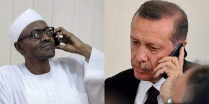 ‘Don’t join Erdogan to fight Israel’, Fani-Kayode warns Buhari