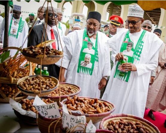 Buhari sleeps with Nigerians at heart – Gov Badaru