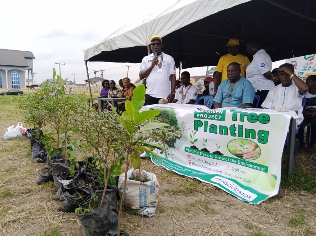 Rotary Club launches tree planting campaign in Delta communities