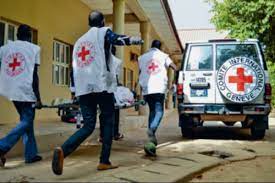 Seven feared dead in Borno as Red Cross food handout turns into stampede