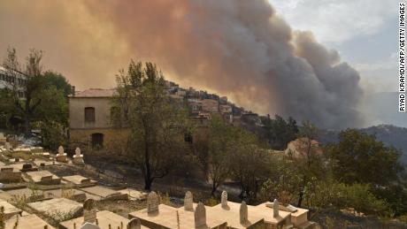 25 soldiers, 7 residents killed in Algeria’s wildfires –Defense ministry