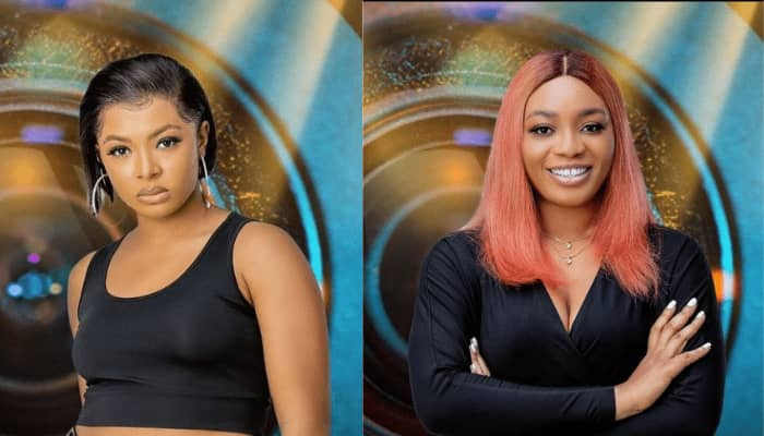 BBNaija: Liquorose was wrong over argument with Beatrice – WhiteMoney