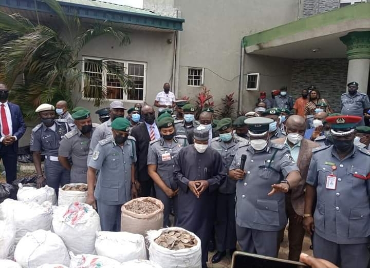 Customs intercepts pangolin scales, elephant tusks worth N22.3bn in Lagos