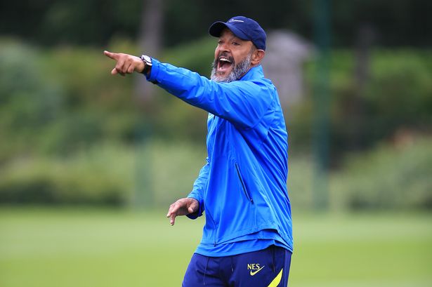 It’s time to move forward from Kane saga – Tottenham coach