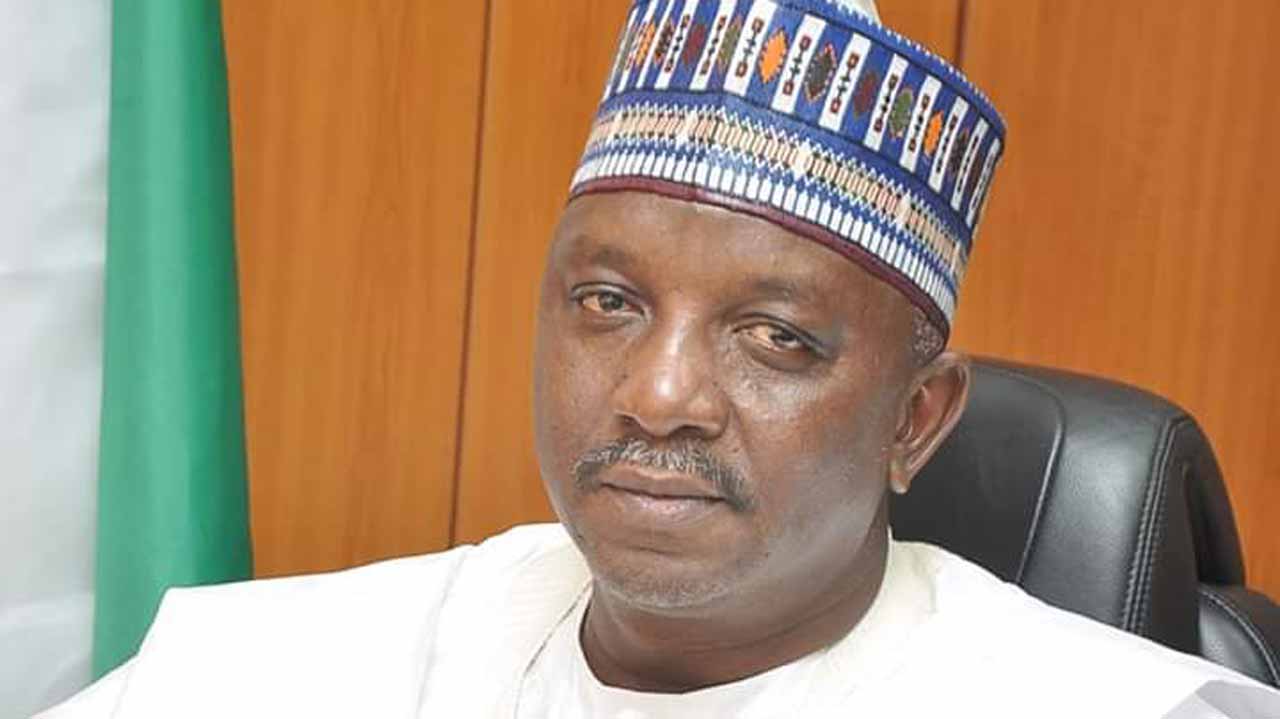 ‘I remain committed to your agenda’, sacked power minister tells President Buhari
