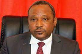 UNGA 76: Niger says climate change is another pandemic with devastating effects