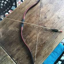 Man kills five, injures others with bow and arrow