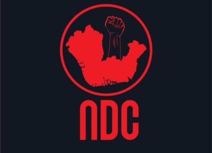 NDC releases list of conditions for Niger Delta to continue to remain part of Nigeria