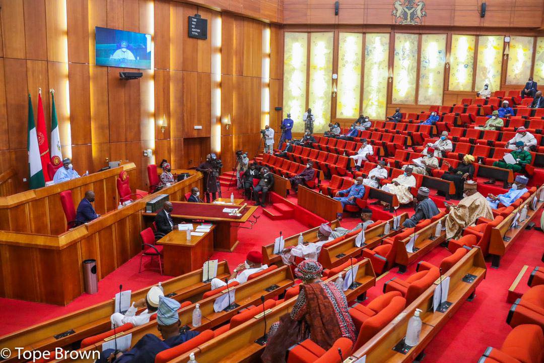Senate approves establishment of National Rice Development Council