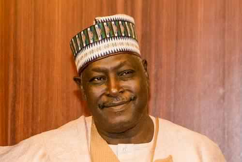 Protests: Onanuga's behaviour doesn’t show he is educated - Babachir Lawal