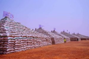 Buhari to unveil CBN, RIFAN mega rice pyramids in Abuja