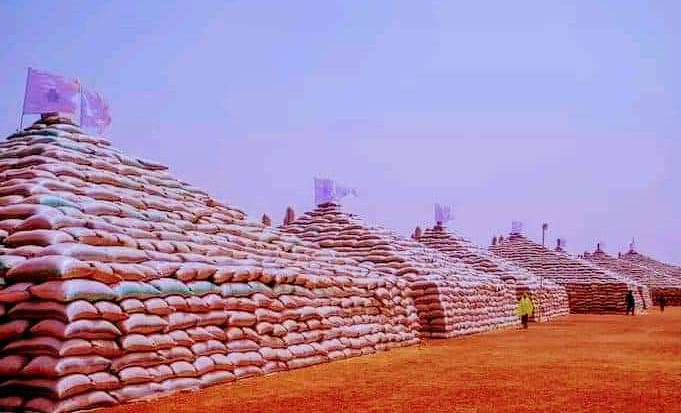 Nigeria to start rice exportation soon - RIFAN