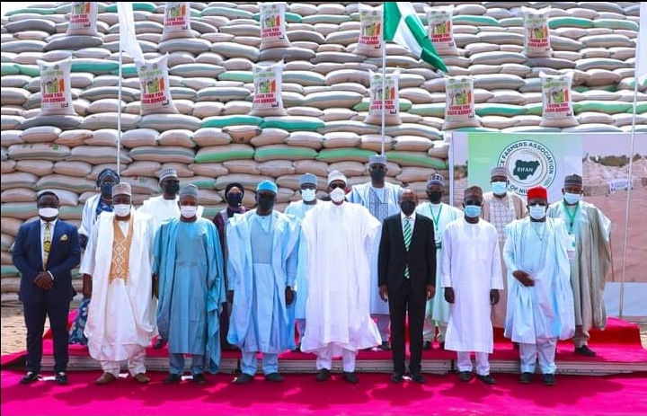 Buhari unveils rice pyramids in Abuja,  commends CBN for support to farmers
