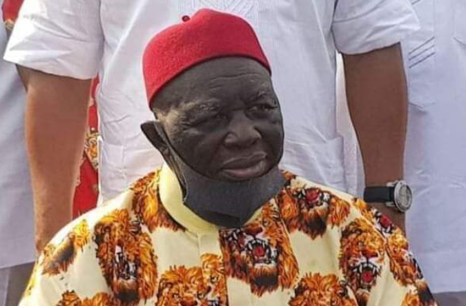 2023: We are more than prepared to produce next president – Ohaneze Ndigbo