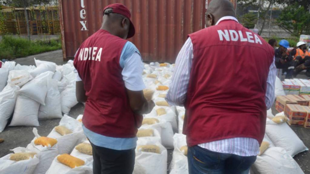 NDLEA intercepts 1.5million Tramadol tablets enroute Kebbi, Kano
