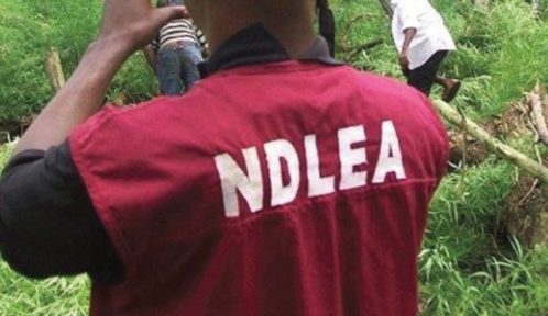 Hoodlums shoot 3 NDLEA officers in Edo