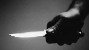 Farmer stabs woman to death over derogatory remark