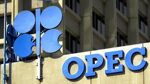 OPEC warns about abandoning oil and gas in Africa