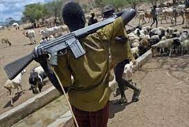 Suspected herdsmen invade Benue communities, 50 feared killed