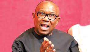 Why am qualified for leadership at any level-  Peter Obi