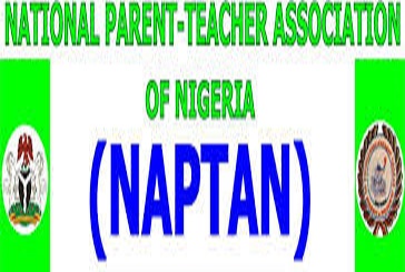 NAPTAN seeks compulsory creation of counselling units in schools