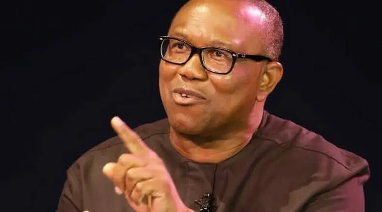 Ask all presidential aspirants to state their past achievements – Peter Obi