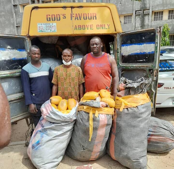 LAGOS: RRS Police intercepts bus-load of illicit drugs, N500,000 bribe rejected