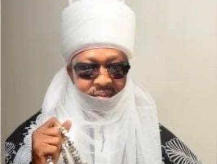 INTERVIEW: My mission to govt house is to transform Adamawa into Africa's food hub - Amb Jameel Waziri