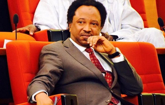 Governorship race:  Sen. Shehu Sani lists security as priority